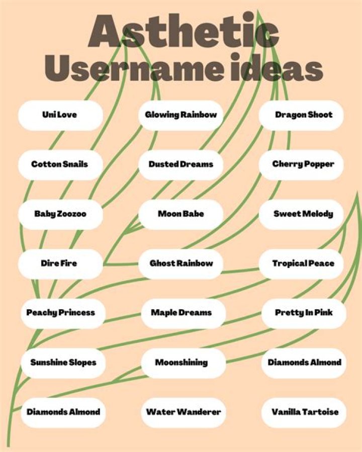 Exploring the World of Dirty Usernames: A Playful Take on Online Identity
